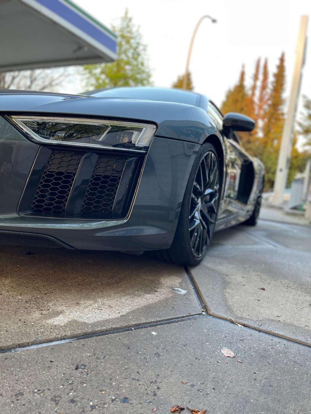 Audi R8 Detailansicht
